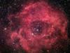 �y�z: rosette_gendler